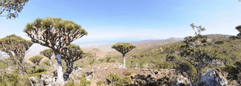 All About Ecosystems