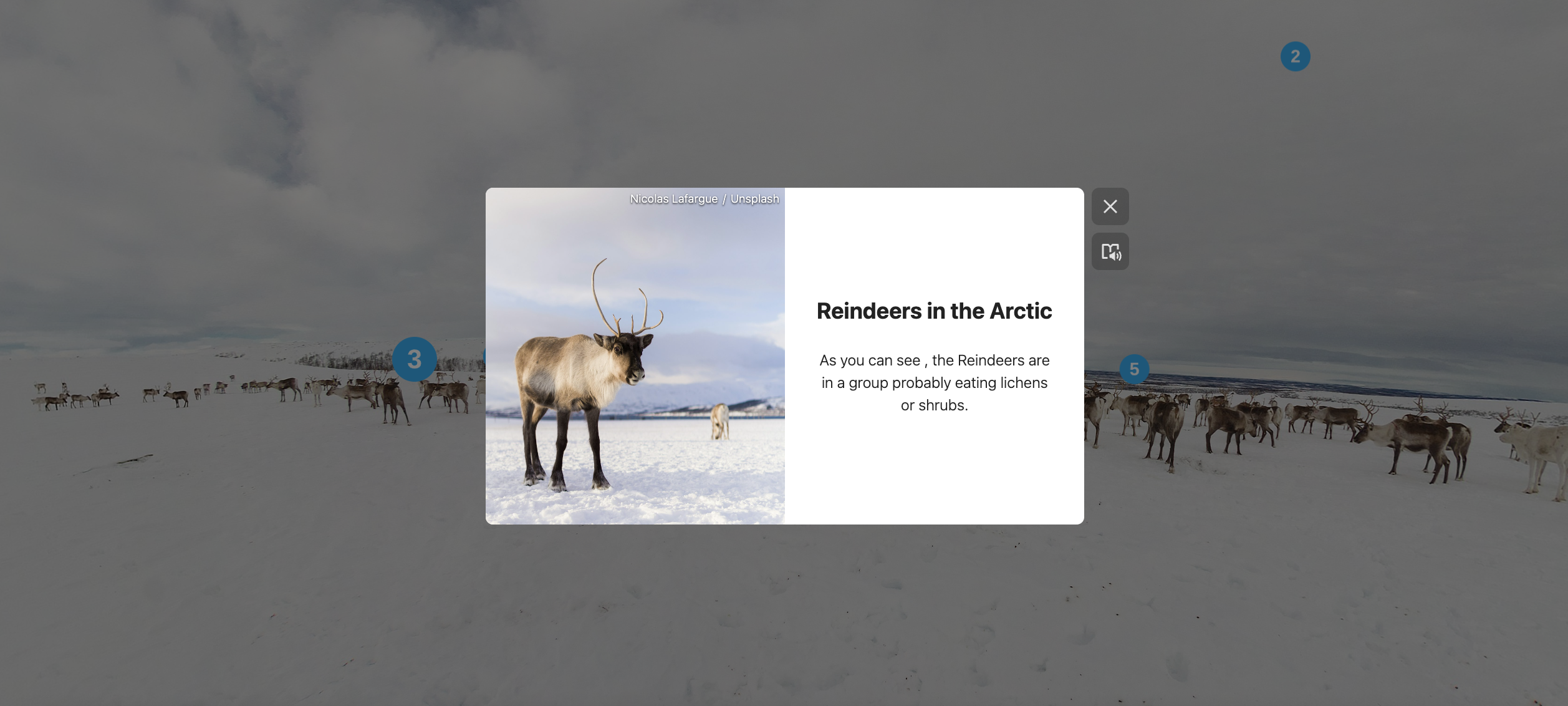 All About Ecosystems: Arctic Tundra 1
