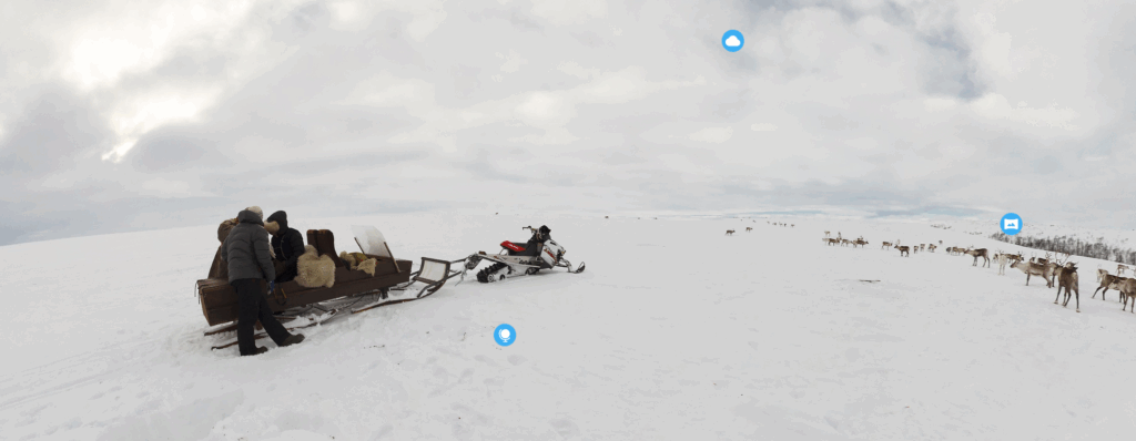 All About Ecosystems: Arctic Tundra 2