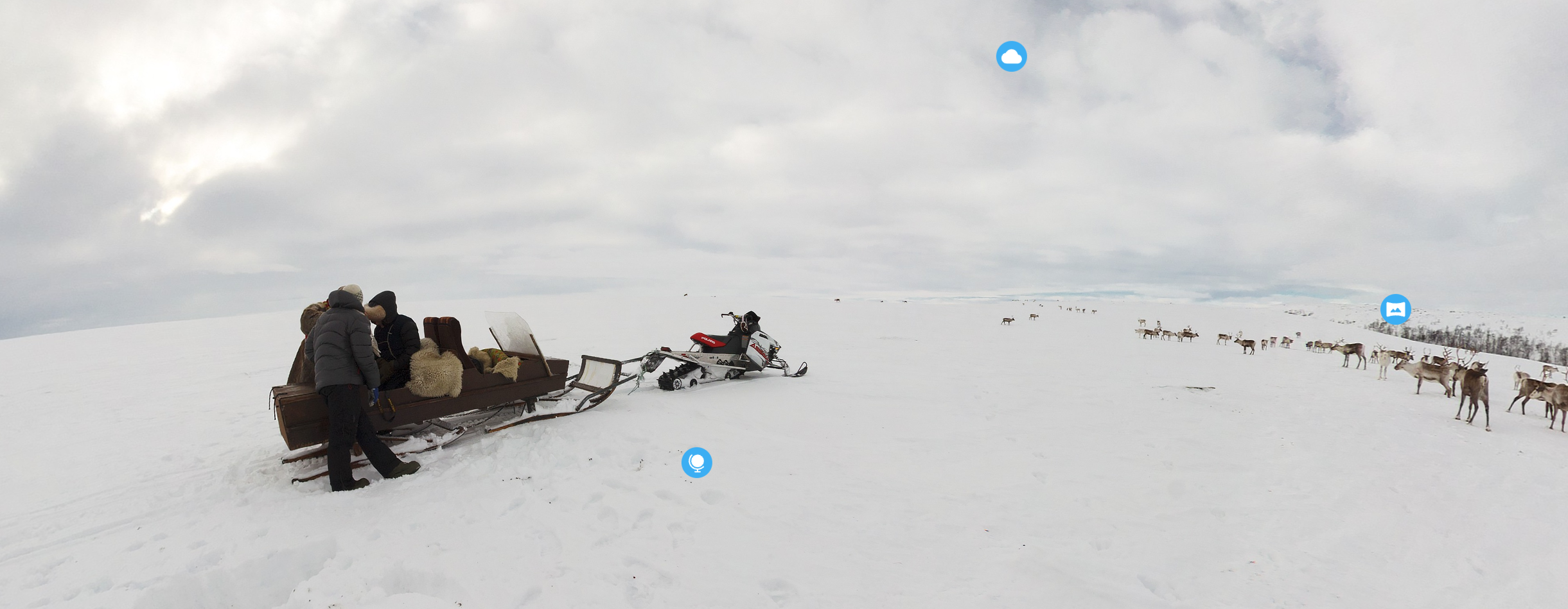 All About Ecosystems: Arctic Tundra 2