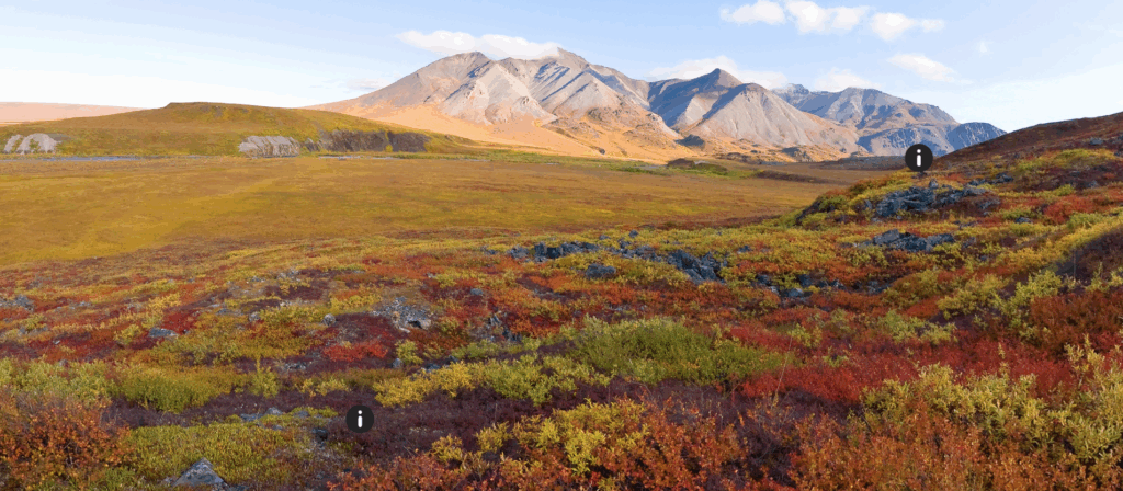Bingo! Intro to U.S. Ecosystems