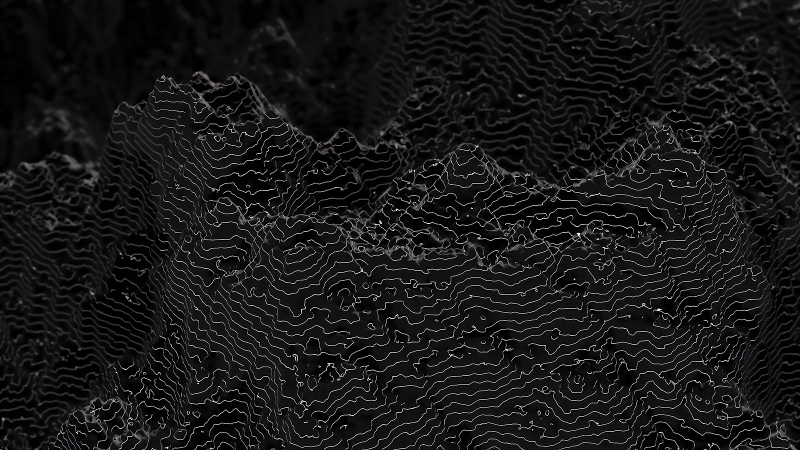 Website Privacy Policy